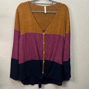 Emerald V-Neck Sweater in Mustard, Purple, and Navy Sz 3x